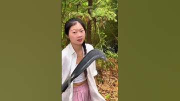 Trees are being cut down with a sharp knife.#short #garden