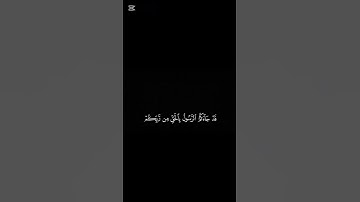 Surah An-Nisa [4:170] سورة النساء #quran #المصحف #القران
