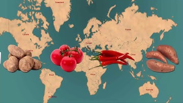 CBSE Class 10 History - 4 | The Making of a Global World | Full Chapter | NCERT Animation