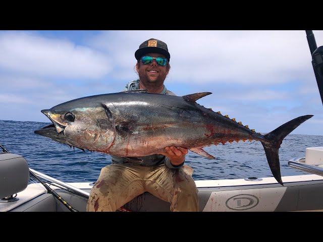 Bluefin Tuna Fishing Dreams Pt 1, Trolling Mad Macs Through Breezers