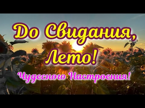 До Свидания, ЛЕТО!🍁31 Августа!🍁Осень на Пороге!🍁