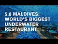 Underwater restaurant 5.8 Hurawalhi: the largest in the world [5 stars Maldives]