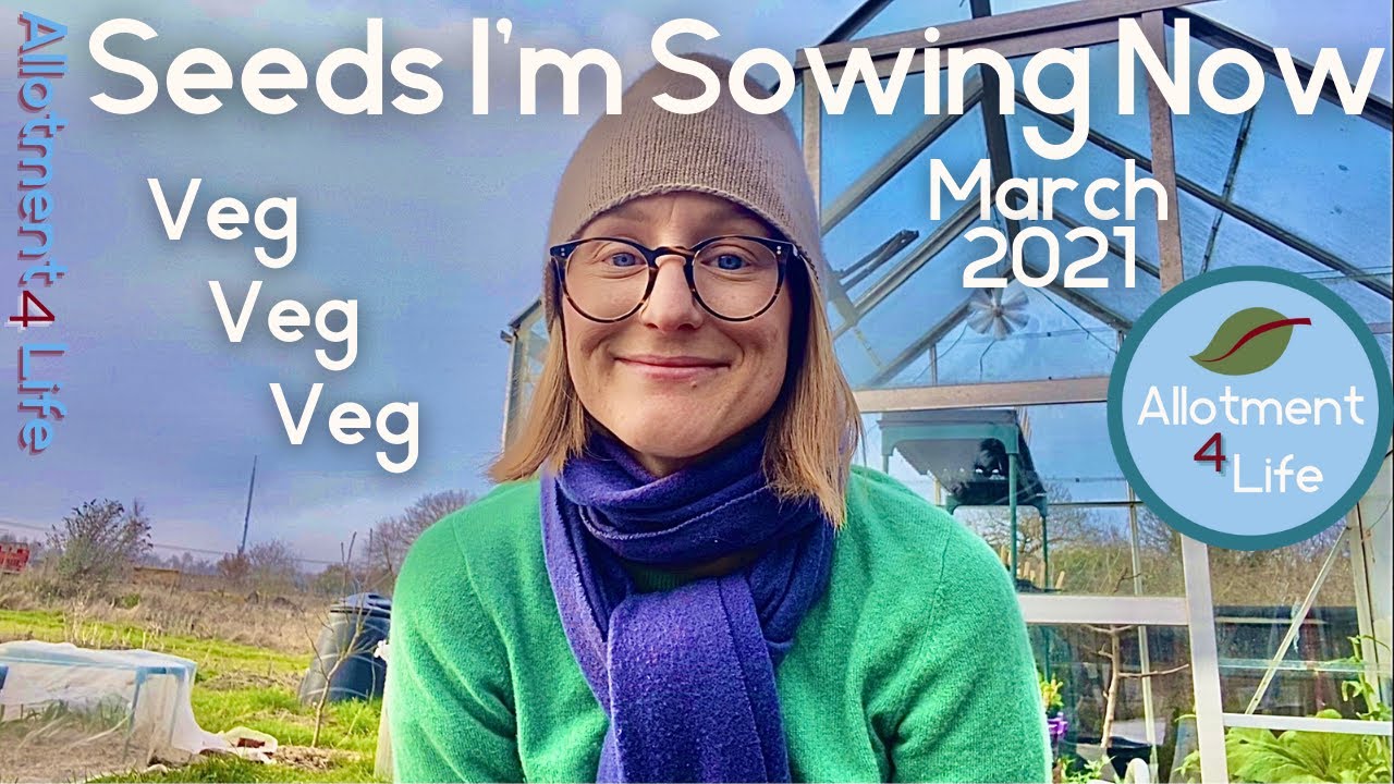 What can i sow in march UK seeds and vegetable varieties I'm sowing