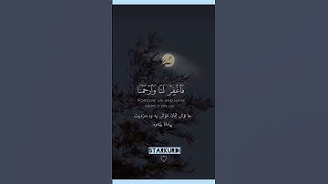 تلاوة هادئة🤍🎙️الشيخ رعد الكردي#iraq #kurdistan #تلاوة_خاشعة #star #رعد_الكردي