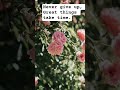 work hard and wait for the correct time #trending #viral