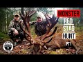 1.3 | Hunting Giant Red Stags| MONSTER RED STAG HUNT!! |