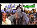 Sohrab Goth Mandi 2020 Say Kitnay Ka Liya? | Naseeb Ka Soda | Bakra Eid 2020