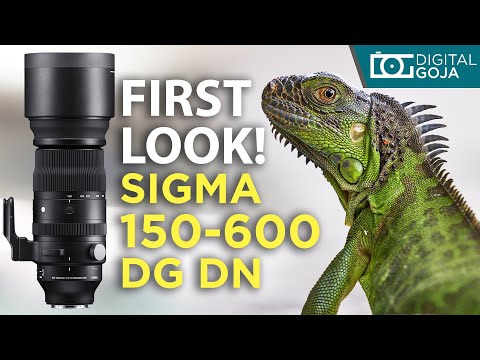 Sigma 150-600mm First Look | 150-600mm f/5-6.3 DG DN for Sony e