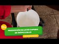 Producción de leche caprina en trópico bajo - TvAgro por Juan Gonzalo Angel Restrepo