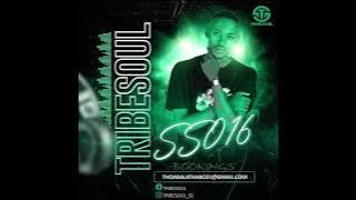 Tribesoul - Selektive Sessions 016