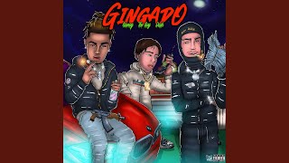 Gingado