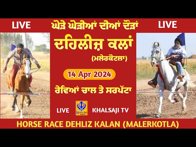 🔴[Live] Dehleez kalan | Malerkotla | Punjab | Horse Races | ਘੋੜੇ ਘੋੜੀਆਂ ਦੀਆਂ ਦੌੜਾਂ | 14 Apr 2024 class=