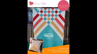 Trellis, an easy modern quilt