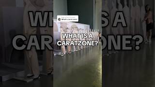 What Is Caratzone Of Seventeen Concerts Worldtour