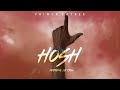 PRINCE KAYBEE ft SIR TRILL - HOSH [Official Visualizer]