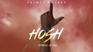 Prince Kaybee Ft Sir Trill - Hosh Official Visualizer