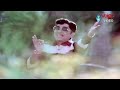 Sree Ranga Neethulu Songs - Gootikocchina Chilakaa - A.N.R, Sridevi - HD Mp3 Song