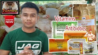 ANO ANO ANG MGA VITAMINS AT ANTIBIOTICS NA MAGANDANG IPAINOM SA MGA BROILERS/45 DAYS CHICKEN?