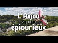 Lanjou vignoble picurieux