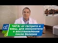 ЧАГА от ГАСТРИТА и язвы желудка, при онкологии ?, для ИММУНИТЕТА и восстановления после болезни.