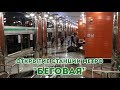 Открытие станции метро "Беговая"