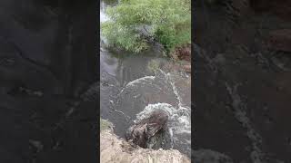 Inundaciones corrientes