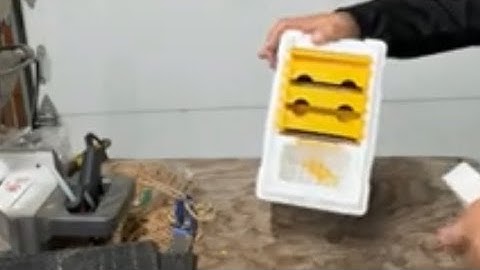 Queen rearing mini mating nuc assembly