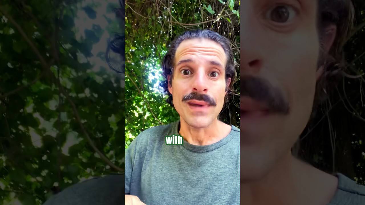 Out of the box=Expressive thoughts