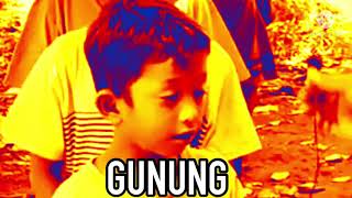 Kura Kura Hidup Digunung Meme