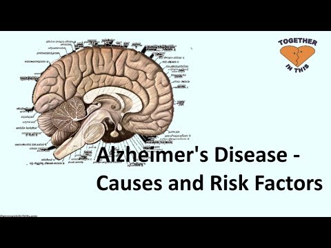 Alzheimer&rsquo;s Disease - Causes and Risk Factors