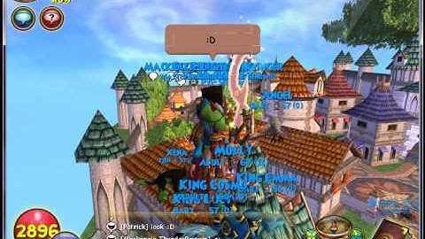 Wizard101 Commons Glitch - It happened to a lot of people :P lol