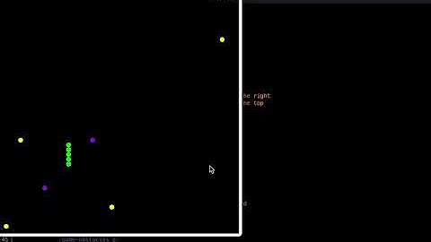 Snake Game Racket Implementation