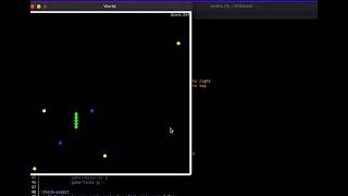 Snake Game Racket Implementation