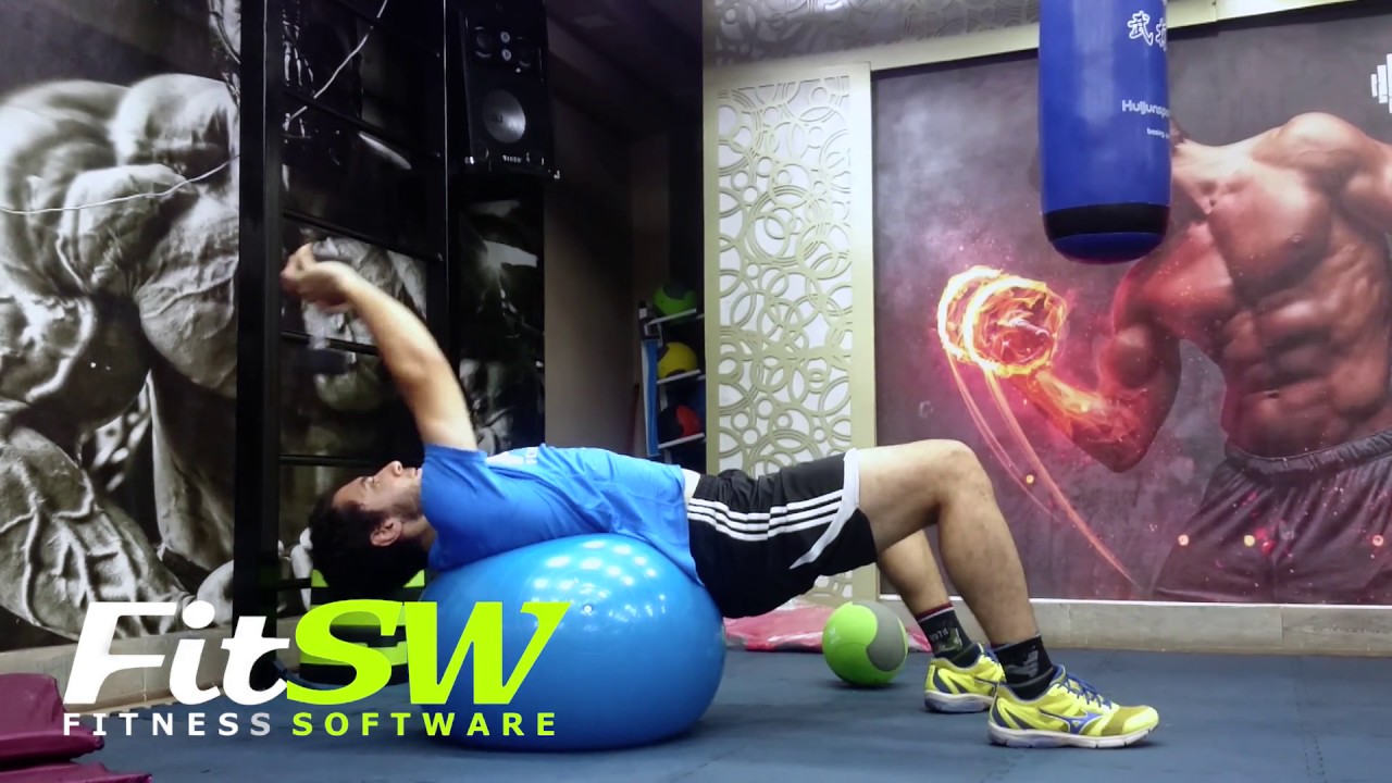 Dumbbell Pullovers on Stability Ball Exercise Demo Howto YouTube