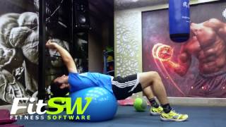 Dumbbell Pullovers on Stability Ball: Exercise Demo How-to