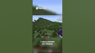 Dream: X Ray Hacker vs  Fly Hacker: Ultimate Showdown!