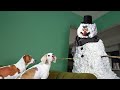 Dogs vs Scary Snowman Prank: Funny Dogs Maymo, Potpie, & Puppy Indie vs Scary Snowman Practical Joke
