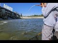 Fishing a HUGE DAM for MONSTER FISH - CATFISHING