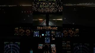 Airbus landing at night #landingatnight #nightlanding #airbuslanding #shorts