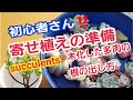 【多肉植物】多肉寄せ植えの準備&木化した多肉の根の出し方‼️Lier.succulent