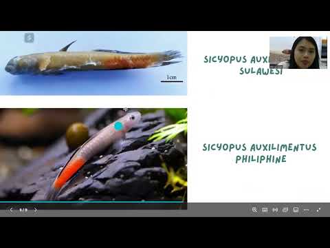 DNA BARCODING (PROJECT BASED LEARNING PART 5)