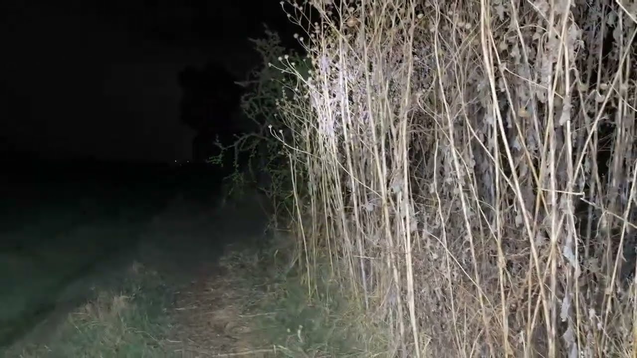 Exploración en arroyo un lugar místico...