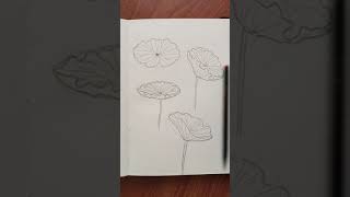 Career Overview How to draw lotus leaf ||#short