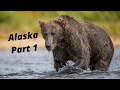 8 DAYS SOLO IN ALASKA PART 1 - WILDLIFE PHOTOGRAPHY, BEARS AND MORE