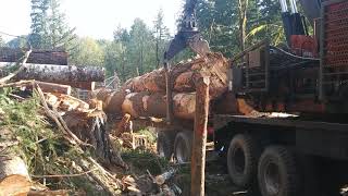 Loading big logs screenshot 4