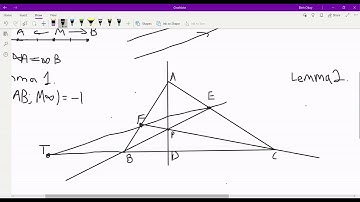 Projective Geometry Part 2: Harmonic Bundles