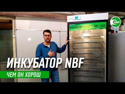 Video: Жашоого каршы корпусту кантип тазалоо керек: 14 кадам (сүрөттөр менен)