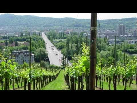 Video: Biodiversität über Der Stadt