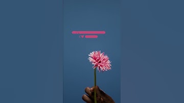 القاری أحمد العجمي سورة النساء#تلاوات_خاشعة