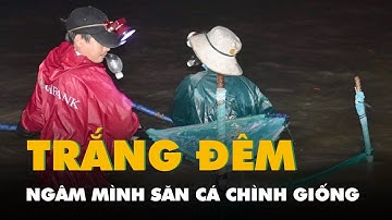 Trắng đêm ngâm mình săn cá chình giống nơi sông Đà Rằng đổ ra biển